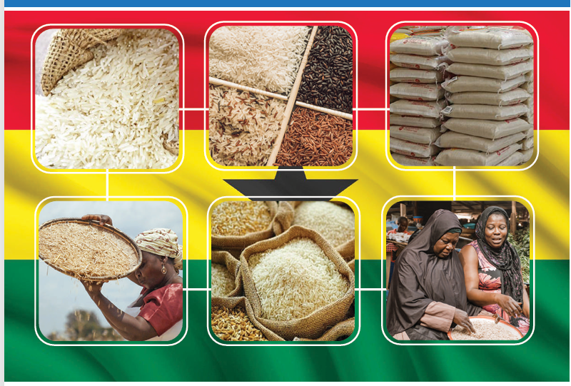 INCREASING IMPORTATION OF RICE IN GHANA: CAN THE COUNTRY TRANSFORM ITS FORTUNES IN THE RICE SECTOR?